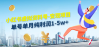 小红书虚拟资料号-变现项目：单号单月纯利润1-5w+实操玩法