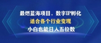 最燃蓝海项目 数字IP孵化 适合各个行业变现 小白也能日入5位数