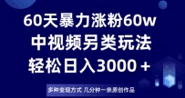 60天暴力涨粉60W，中视频另类玩法，几分钟一条原创作品多种变现方式，日入3000＋