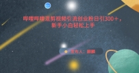 哔哩哔哩混剪视频引流创业粉日引300+，新手小白轻松上手【揭秘】