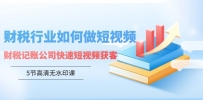 财税行业怎样做短视频，财税记账公司快速短视频获客（5节高清无水印课）