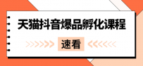 《天猫抖音爆品孵化课程》独家绝密新品引爆法