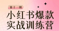 从零到一，掌握小红书爆款秘籍，，从定位到起号到变现让你轻松变身博主达人