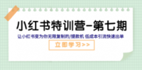 小红书特训营-第七期 让小红书变为你无限复制的/提款机 低成本引流快速出单