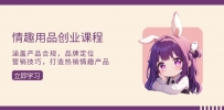 情趣用品创业课程：涵盖产品合规，品牌定位，营销技巧，打造热销情趣产品