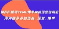 拼多多-跨境TEMU爆单实操运营培训班，海外拼多多的选品、运营、爆单