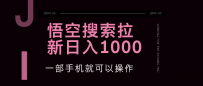 悟空搜索类拉新 蓝海项目 一部手机就可以操作 教程非常详细