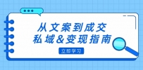 从文案到成交，私域&变现指南：朋友圈策略+文案撰写+粉丝运营实操