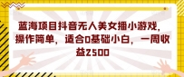 蓝海项目抖音无人美女播小游戏，操作简单，适合0基础小白，一周收益2500【揭秘】