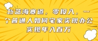 新蓝海赛道，零投入，一个普通人如何宅家办公实现年入百万