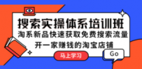 搜索实操体系培训班：淘系新品快速获取免费搜索流量 开一家赚钱的淘宝店铺
