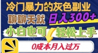 冷门暴利的副业项目，聊聊天就能日入300+，0成本月入过万【揭秘】