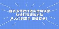 拼多多从开店到打造爆款实战教程，一套从新手到大师系统化课程