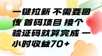 一键拉新 不需要回传 首码项目 接个验证码就算完成 一小时收益70+