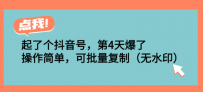 起了个抖音号，第4天爆了！操作简单，可批量复制
