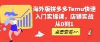 海外版拼多多TEMU快速入门实操课，店铺实战从0到1