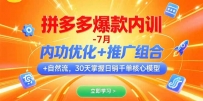拼多多爆款内训-7月 内功优化+推广组合+自然流 30天掌握日销千单核心模型