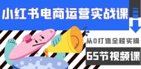 小红书电商运营实战课，从0打造全程实操（65节视频课）