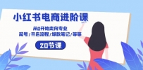 小红书电商进阶课：从0开始走向专业 起号/开店流程/爆款笔记/等等（20节）
