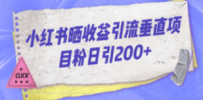 小红书晒收益图引流垂直项目粉日引200+