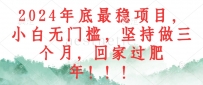 2024年底最稳项目，小白无门槛，坚持做三个月，回家过肥年！！！