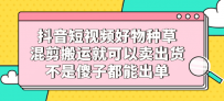 抖音短视频好物种草，混剪搬运就可以卖出货，无脑操作日赚300+