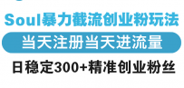 Soul暴力截流创业粉玩法，当天注册当天进流量，日稳定300+精准创业粉丝