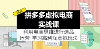 拼多多虚拟电商实战课：虚拟资源选品+运营，高利润虚拟玩法（更新14节）