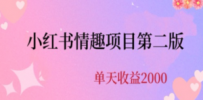 最近爆火小红书情趣项目第二版，每天2000+