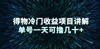 得物冷门收益项目讲解，单号一天日赚100+