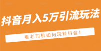 抖音月入5万引流玩法，看看老司机如何玩转抖音