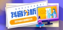 最新版抖音分析师 养号分析+违规词检查+dou+效果分析+作品权重检测