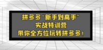 拼多多“新手到高手”实战特训营：带你全方位玩转拼多多