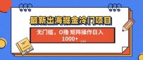最新出海掘金冷门项目，单号日入1000+