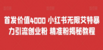首发价值4000 小红书无限艾特暴力引流创业粉 精准粉揭秘教程