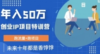 创业IP年入50W核心方法，未来10年最值得做的项目【揭秘】