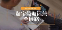 淘宝蓝海运营全链路，从选品到流量变现，小类目突围完整方案