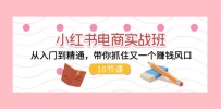 小红书电商实战班，从入门到精通，带你抓住又一个赚钱风口（16节）