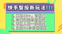 快手智投新玩法，单机日入40+，可批量，可查询实时收益，收益日结24小…