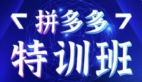 拼多多电商基础班+进阶班+突破班，用系统的学习模式快速改变现状