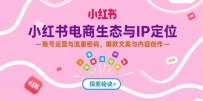 小红书电商生态与IP定位，账号运营与流量密码，爆款文案与内容创作