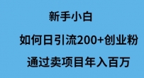 新手小白怎么样日引流200+创业粉通过卖项目年入百万