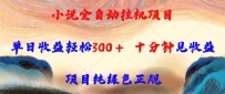 小说全自动挂机项目，单日收益轻松300，十分钟见收益，项目纯绿色正规
