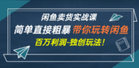 闲鱼卖货实战课，简单直接粗暴，带你玩转闲鱼-百万利润-独创玩法