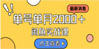 咸鱼虚拟资料新模式，月入2w＋，可批量复制，单号一天50-60没问题 多号多撸