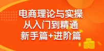 电商理论与实操从入门到精通：抖店+淘系+多多，新手篇+进阶篇