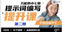 小七姐的提示词编写提升课，30天16个课时，从悉维到行动