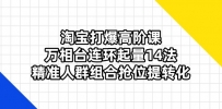 淘宝打爆高阶课：万相台连环起量14法，精准人群组合抢位提转化