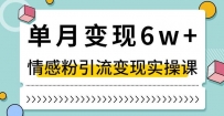 抖音情感粉引流变现实操课，快速上手，小白也能轻松月入6W！