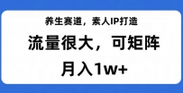 养生赛道IP打造，流量巨大，教你月入1W+【完整揭秘】